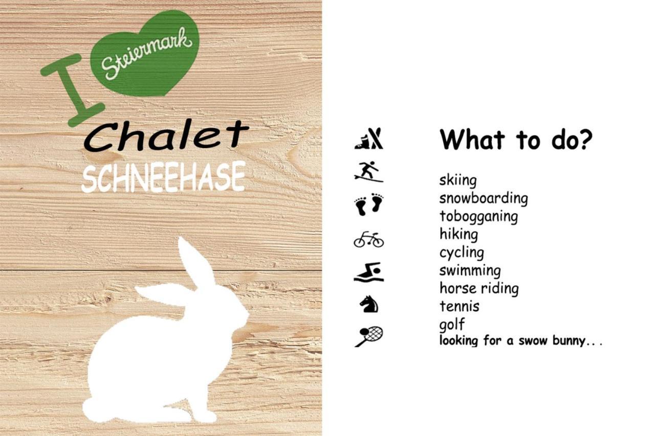 Chalet ?Snow Bunny? Stadl an der Mur Ngoại thất bức ảnh