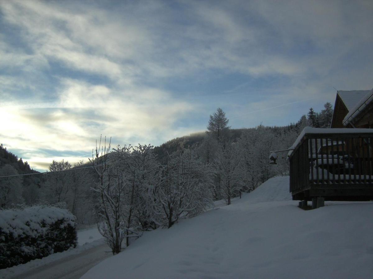 Chalet ?Snow Bunny? Stadl an der Mur Ngoại thất bức ảnh