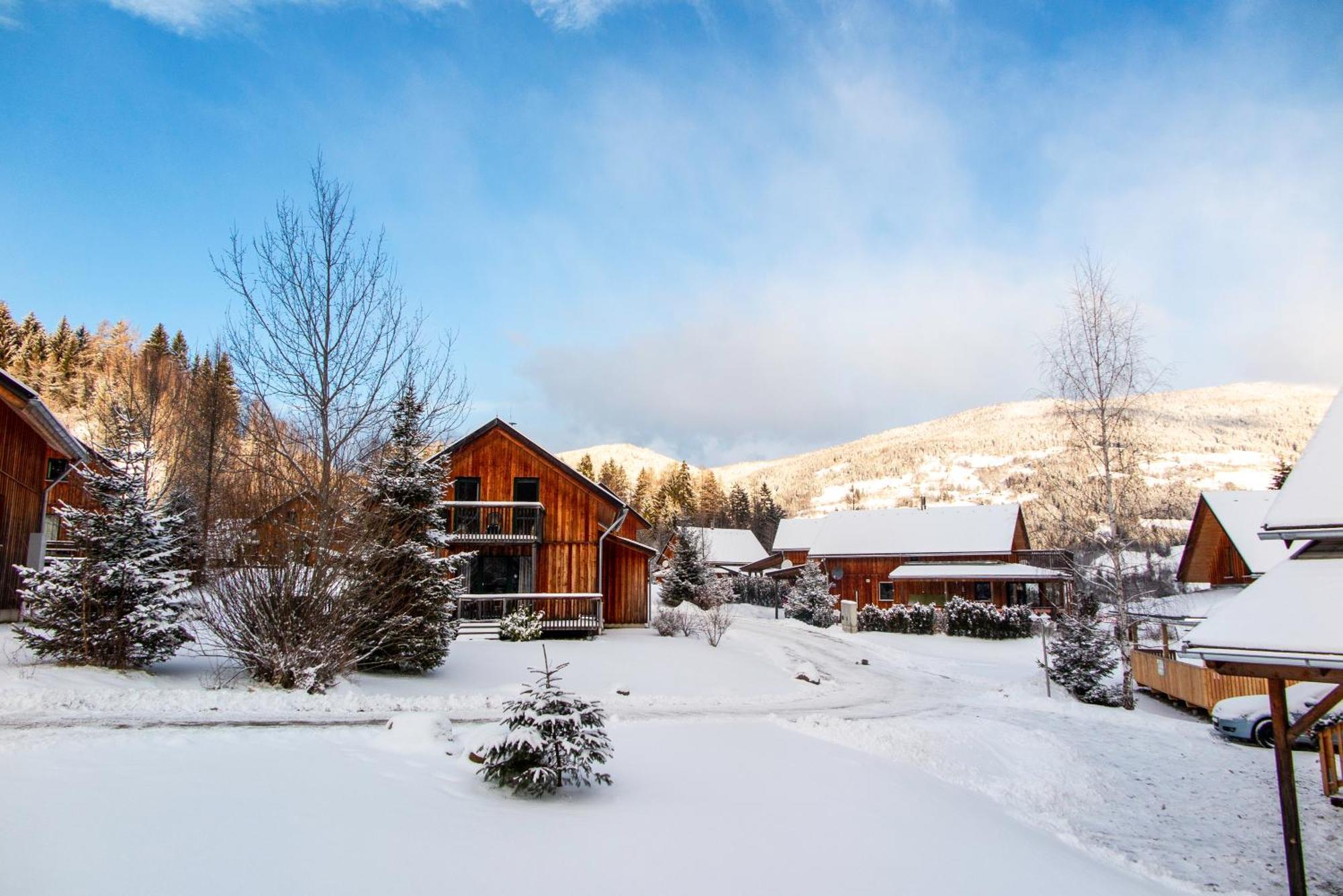 Chalet ?Snow Bunny? Stadl an der Mur Ngoại thất bức ảnh